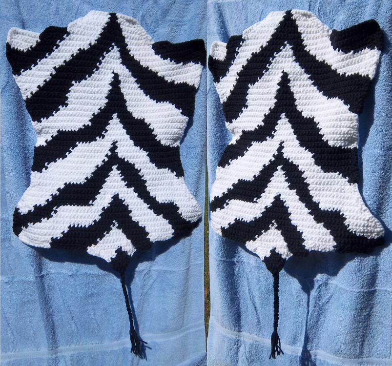 Zebra Stripe Rug 2